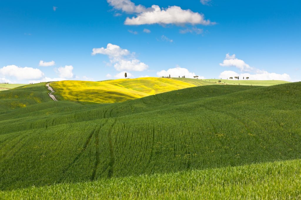 Outdoor Tuscan hills landscape